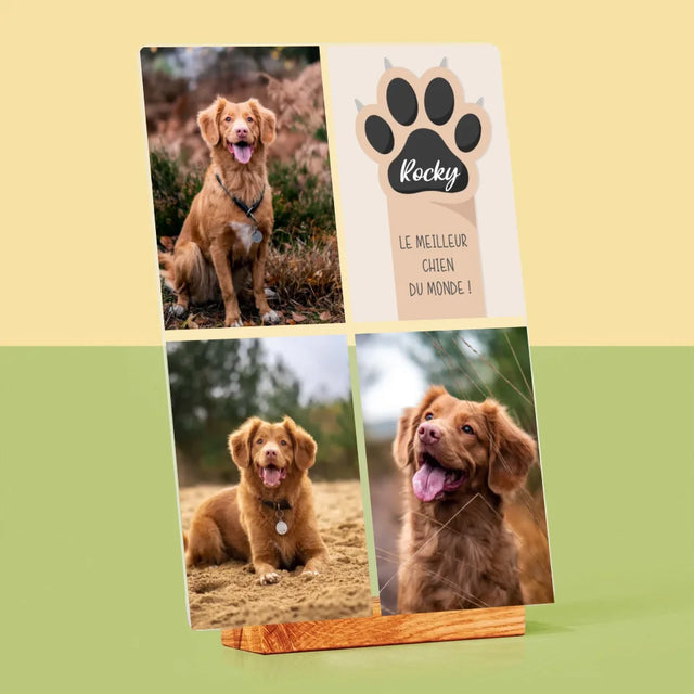 Collage Photo: Le Meilleur Chien - Impression Sur Verre Acrylique