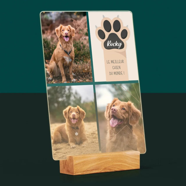 Collage Photo: Le Meilleur Chien - Impression Sur Verre Acrylique