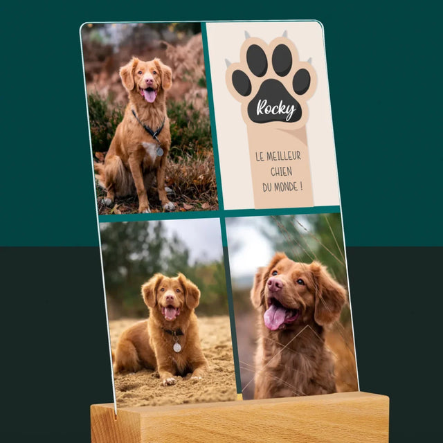 Collage Photo: Le Meilleur Chien - Impression Sur Verre Acrylique