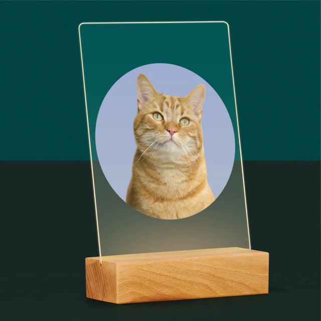 Photo: Ton Chat - Impression Sur Verre Acrylique