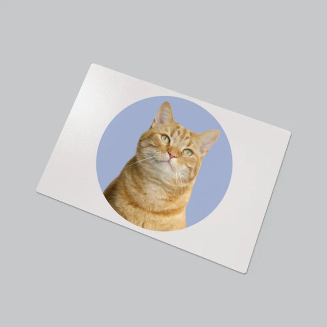 Photo: Ton Chat - Sous-Main Bureau