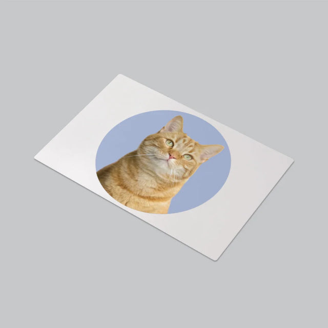 Photo: Ton Chat - Sous-Main Bureau