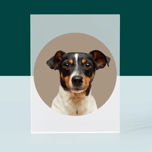 Photo: Ton Chien - Bloc Acrylique