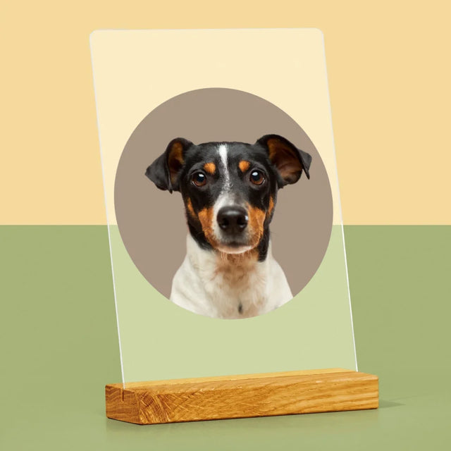 Photo: Ton Chien - Impression Sur Verre Acrylique