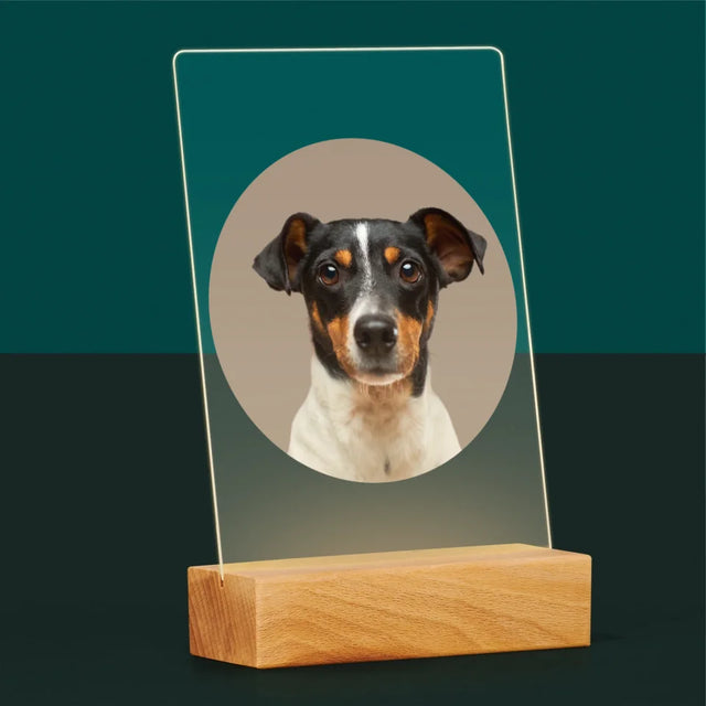Photo: Ton Chien - Impression Sur Verre Acrylique