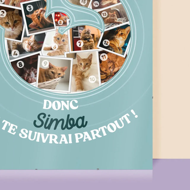 Forme Des Photos: Le Chat - Affiche