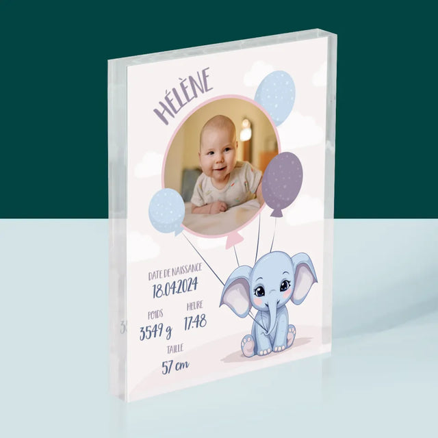 Acte De Naissance De L'Enfant: Métrique, L'Éléphant - Bloc Acrylique