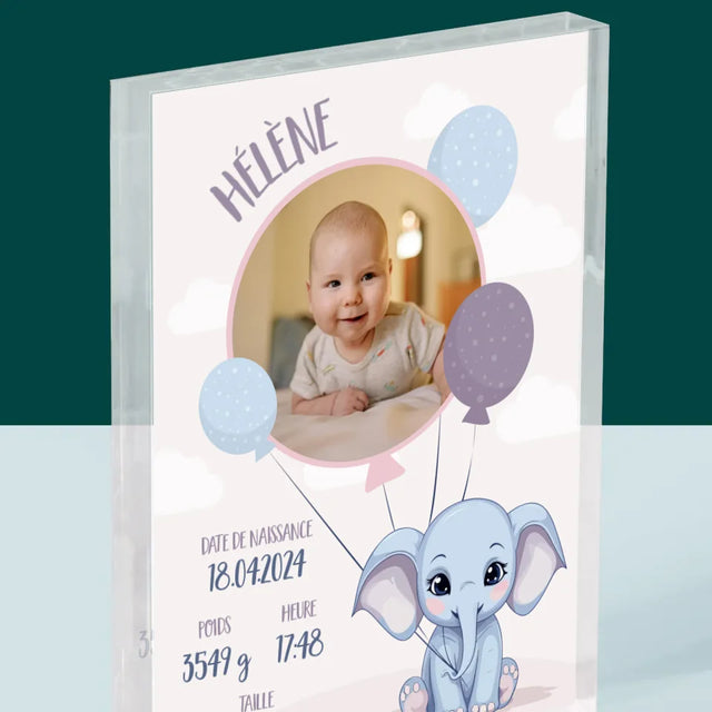 Acte De Naissance De L'Enfant: Métrique, L'Éléphant - Bloc Acrylique
