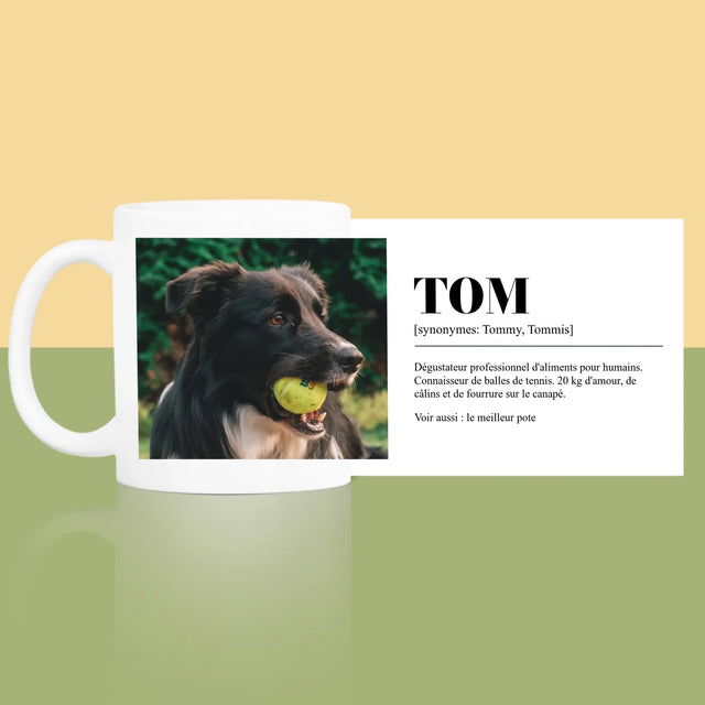 La Photo Et Un Texte: Animal, Définition - Le Mug