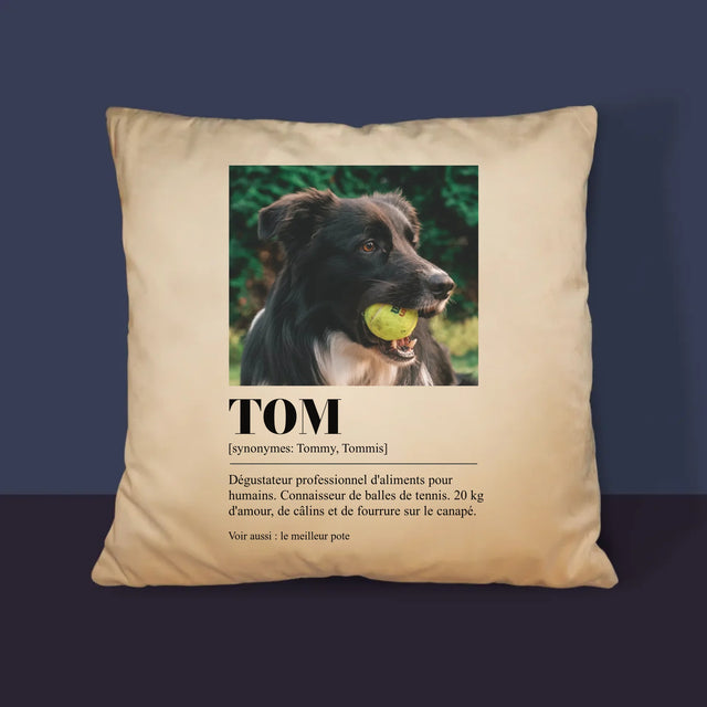 La Photo Et Un Texte: Animal, Définition - Coussin