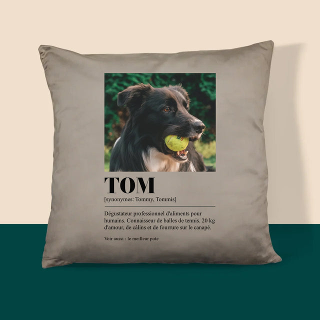 La Photo Et Un Texte: Animal, Définition - Coussin