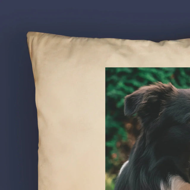 La Photo Et Un Texte: Animal, Définition - Coussin