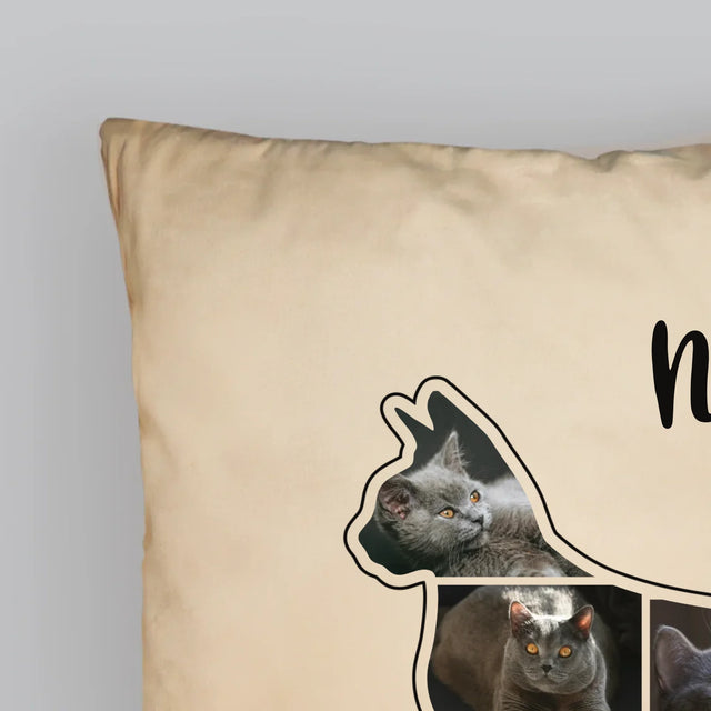 Forme Des Photos: Chat Le Meilleur Ami - Coussin