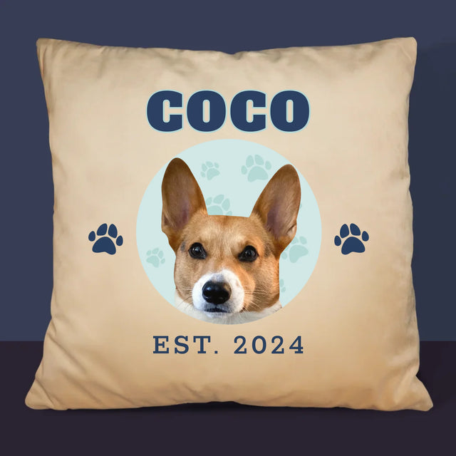 Ton Personnage: Ton Chien Varsity - Coussin