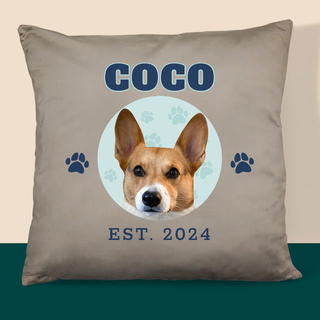 Ton Personnage: Ton Chien Varsity - Coussin