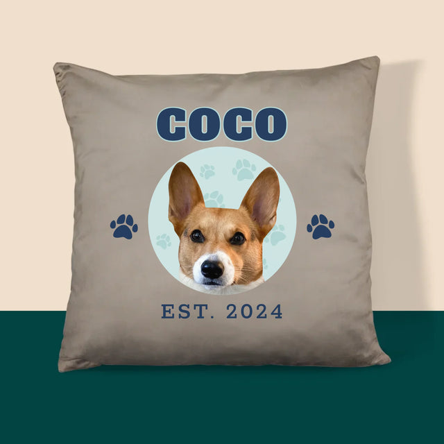 Ton Personnage: Ton Chien Varsity - Coussin