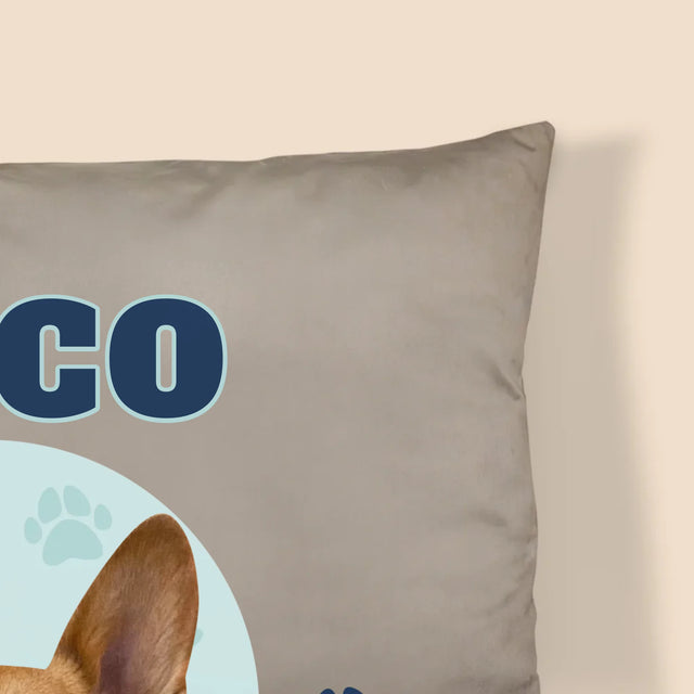 Ton Personnage: Ton Chien Varsity - Coussin