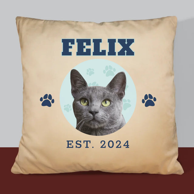 Ton Personnage: Ton Chat Varsity - Coussin