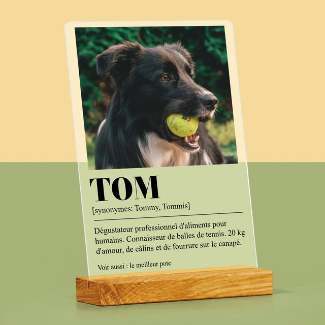 La Photo Et Un Texte: Animal, Définition - Impression Sur Verre Acrylique