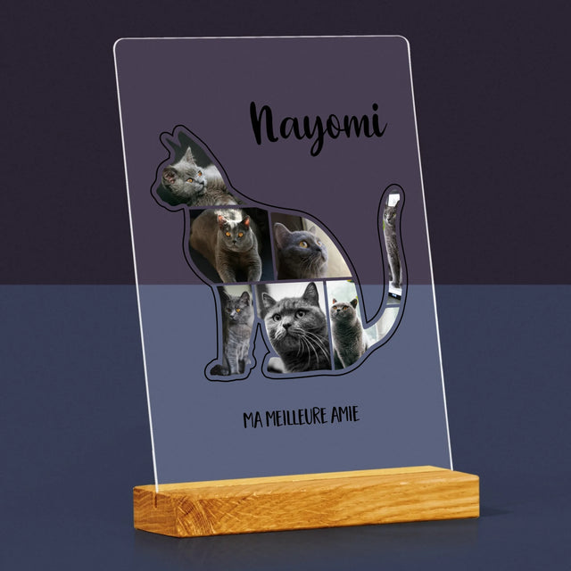 Forme Des Photos: Chat Le Meilleur Ami - Impression Sur Verre Acrylique