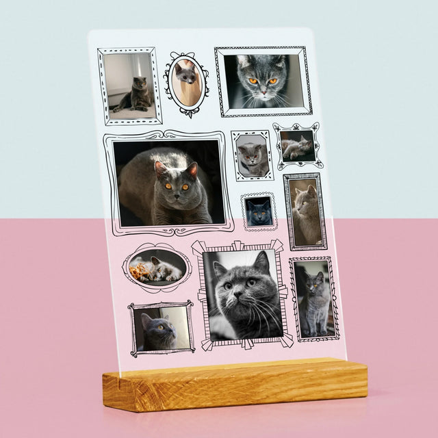 Le Collage Photo: Un Mur D'Exposition Avec Un Animal - Impression Sur Verre Acrylique