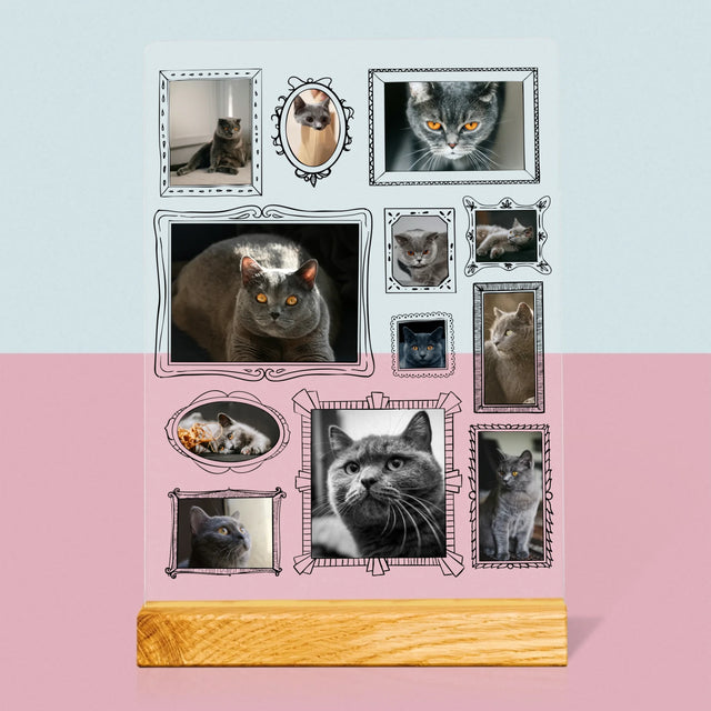 Le Collage Photo: Un Mur D'Exposition Avec Un Animal - Impression Sur Verre Acrylique