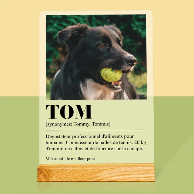 La Photo Et Un Texte: Animal, Définition - Impression Sur Verre Acrylique