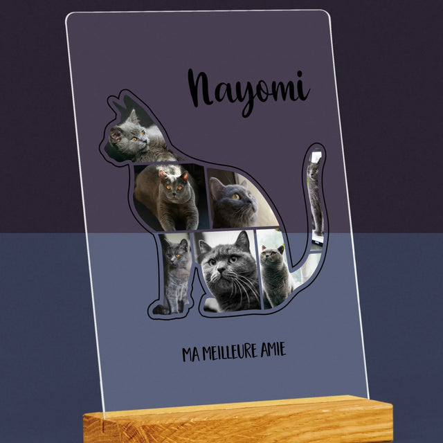 Forme Des Photos: Chat Le Meilleur Ami - Impression Sur Verre Acrylique