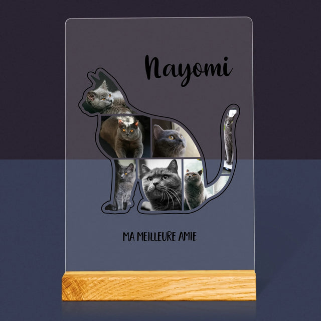 Forme Des Photos: Chat Le Meilleur Ami - Impression Sur Verre Acrylique