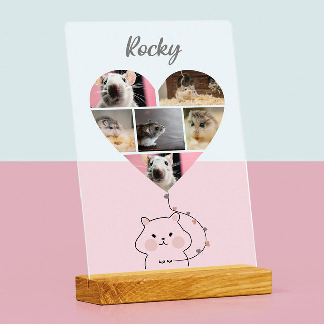 Le Collage Photo: Hamster - Impression Sur Verre Acrylique