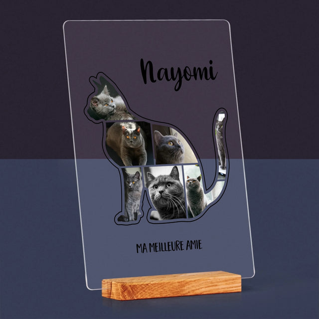 Forme Des Photos: Chat Le Meilleur Ami - Impression Sur Verre Acrylique