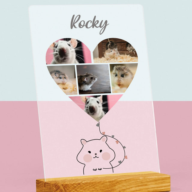 Le Collage Photo: Hamster - Impression Sur Verre Acrylique