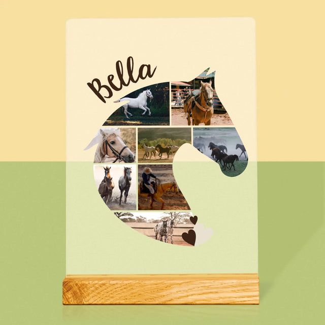 Forme Des Photos: Cheval - Impression Sur Verre Acrylique
