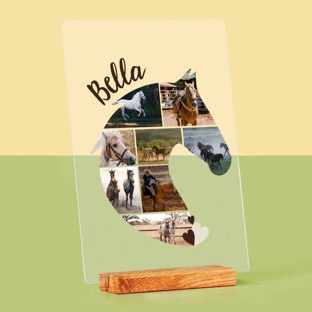Forme Des Photos: Cheval - Impression Sur Verre Acrylique