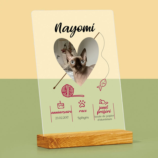 La Photo Et Un Texte: Chat Métrique - Impression Sur Verre Acrylique