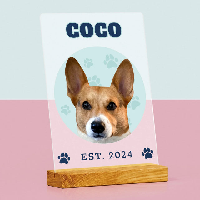 Ton Personnage: Ton Chien Varsity - Impression Sur Verre Acrylique