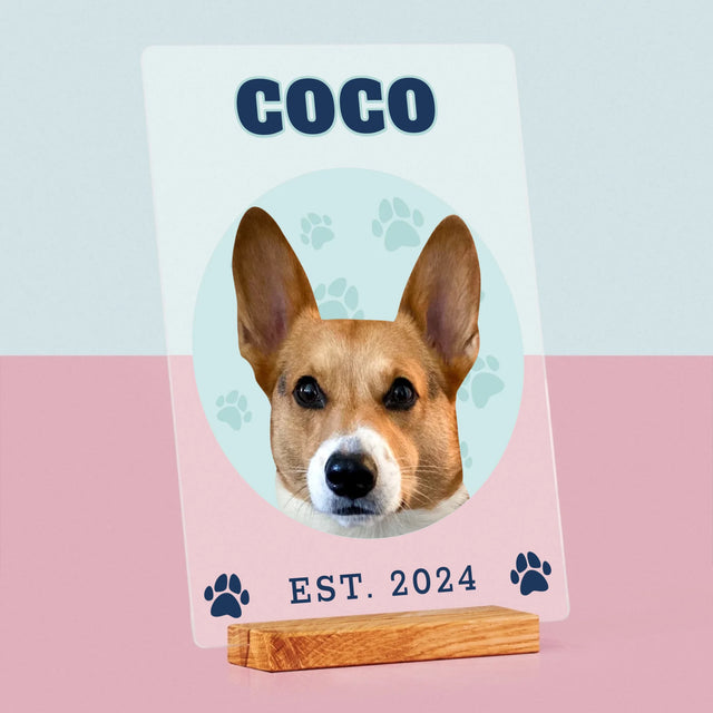 Ton Personnage: Ton Chien Varsity - Impression Sur Verre Acrylique