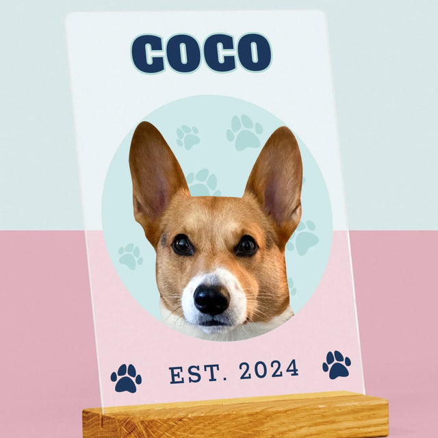 Ton Personnage: Ton Chien Varsity - Impression Sur Verre Acrylique