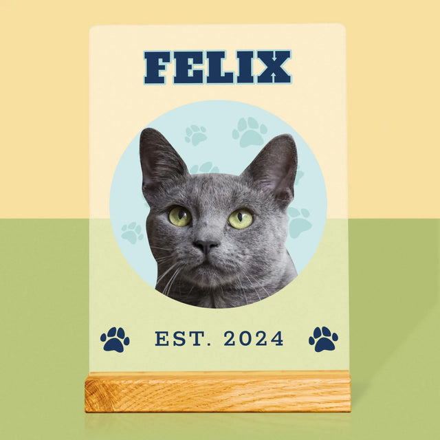 Ton Personnage: Ton Chat Varsity - Impression Sur Verre Acrylique