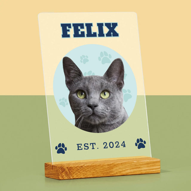 Ton Personnage: Ton Chat Varsity - Impression Sur Verre Acrylique
