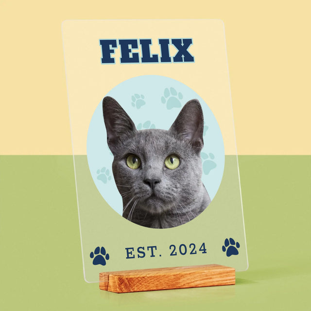 Ton Personnage: Ton Chat Varsity - Impression Sur Verre Acrylique