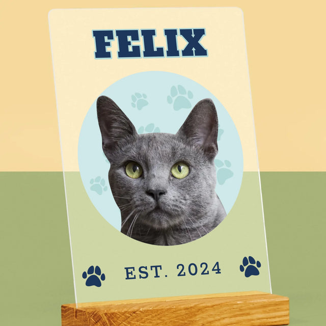 Ton Personnage: Ton Chat Varsity - Impression Sur Verre Acrylique