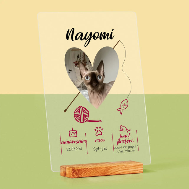 La Photo Et Un Texte: Chat Métrique - Impression Sur Verre Acrylique