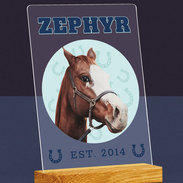 Ton Personnage: Ton Cheval Varsity - Impression Sur Verre Acrylique