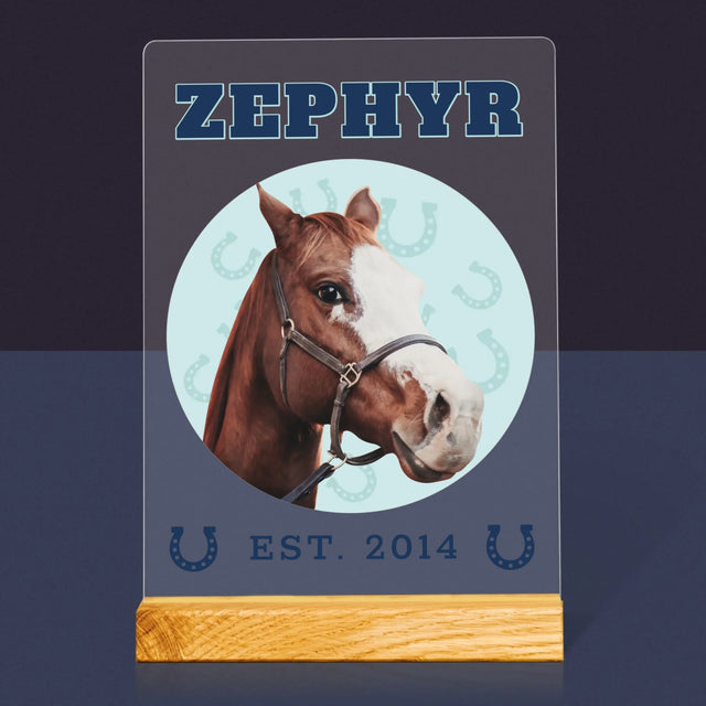 Ton Personnage: Ton Cheval Varsity - Impression Sur Verre Acrylique