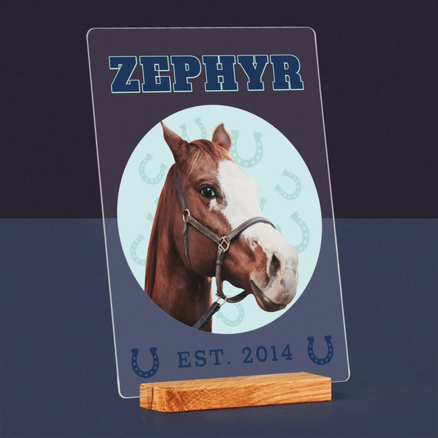 Ton Personnage: Ton Cheval Varsity - Impression Sur Verre Acrylique