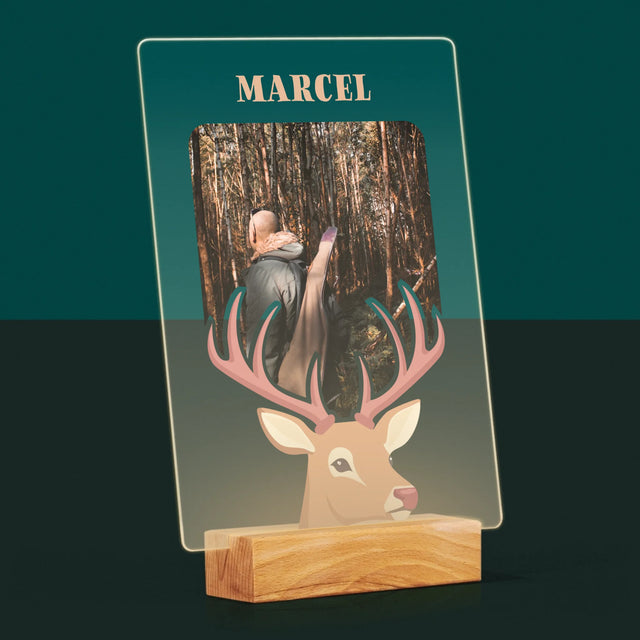 La Photo Et Un Texte: Le Cerf - Impression Sur Verre Acrylique