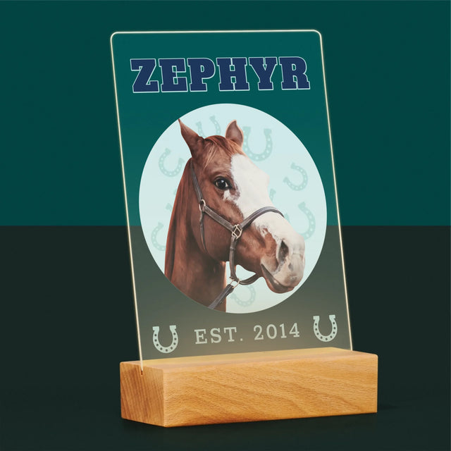 Ton Personnage: Ton Cheval Varsity - Impression Sur Verre Acrylique