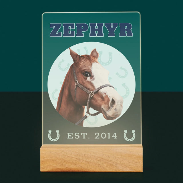 Ton Personnage: Ton Cheval Varsity - Impression Sur Verre Acrylique