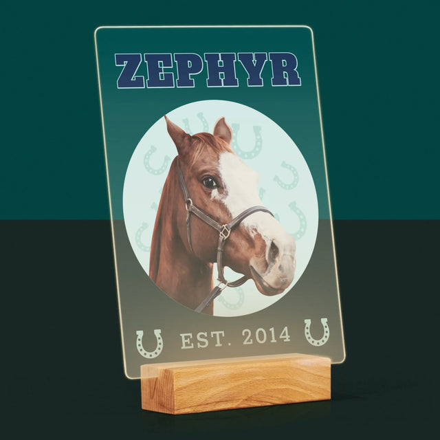 Ton Personnage: Ton Cheval Varsity - Impression Sur Verre Acrylique